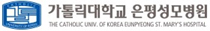 가톨릭대학교 은평성모병원
